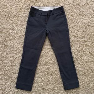 Loft Petites Marisa Straight Pant Size 00